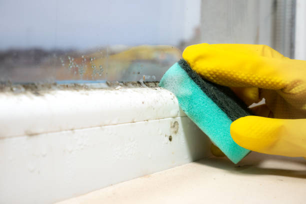 Water Damage Restoration in Blair, WI
